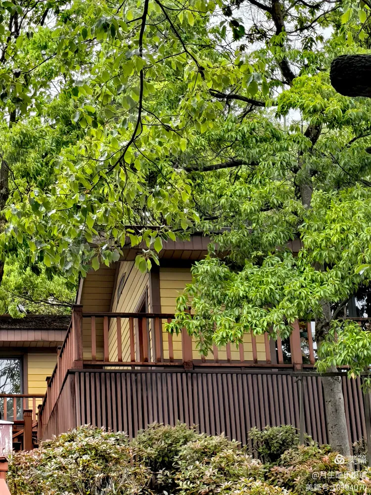 江西省赣州市大余县【丫山旅游度假区】